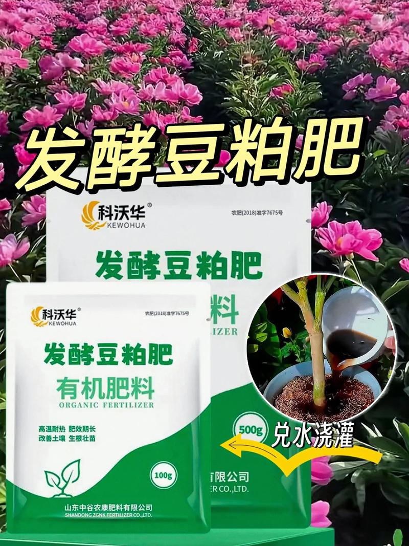 发酵豆粕