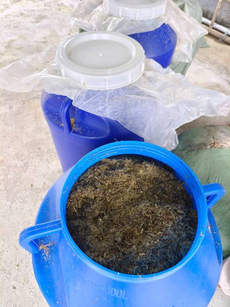 精准把握微生态制剂使用技巧